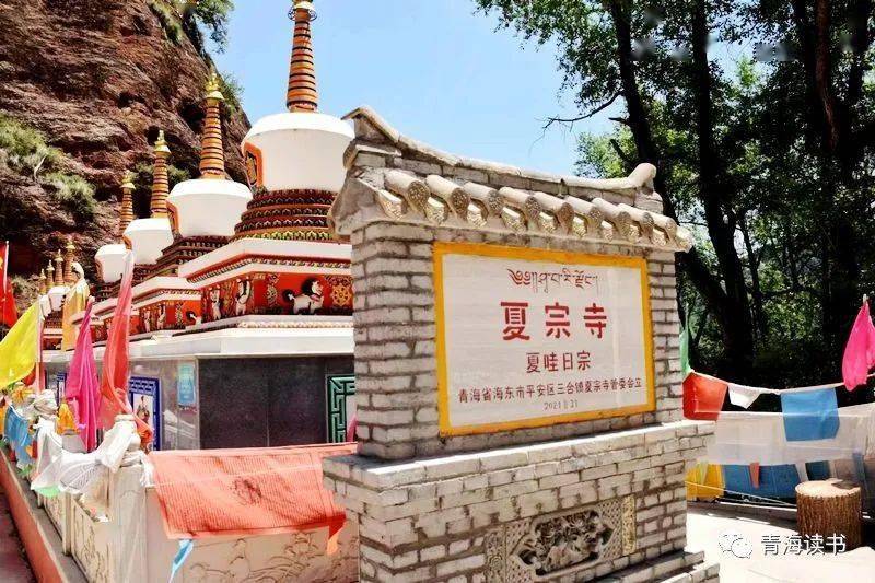 青海读书会平安采风夏宗寺的魅力