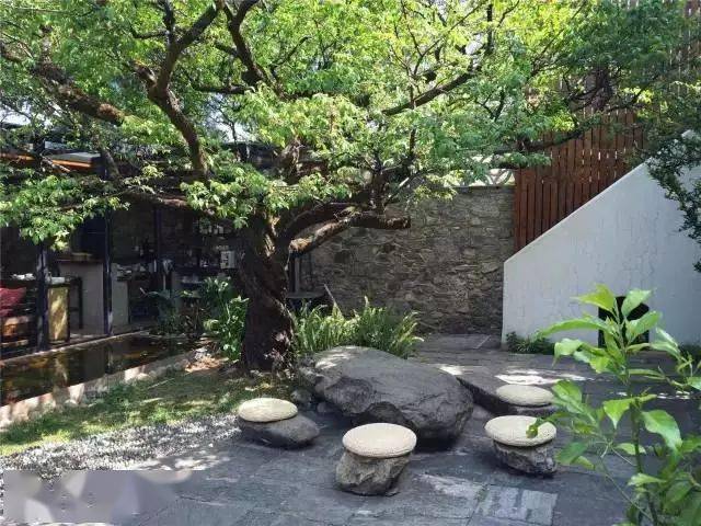 50个中式小院,总有你喜欢的一方!_福建厦门_云南_大理