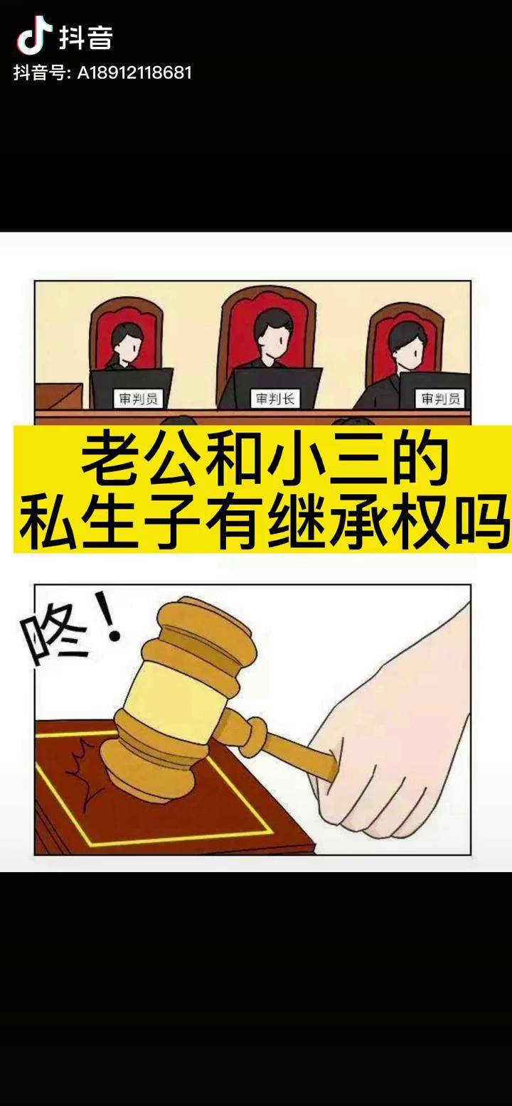 老公和小三私生子继承权民法典扬中房产平平平平房产