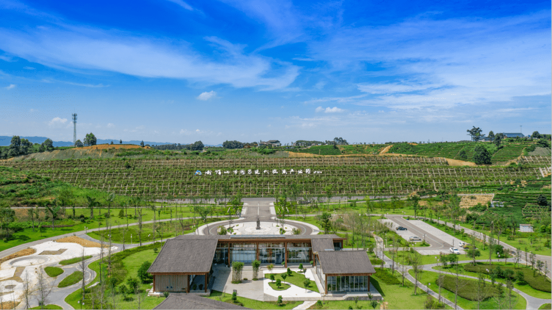 峨眉山市符溪镇入选省级百强