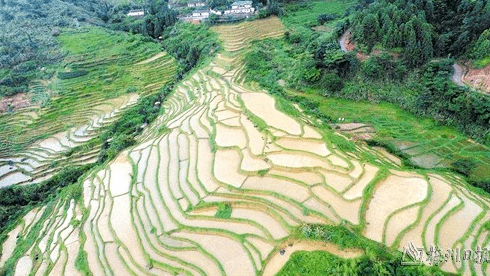 平遠縣泗水鎮探索萬企興萬村村企共建模式盤活撂荒地