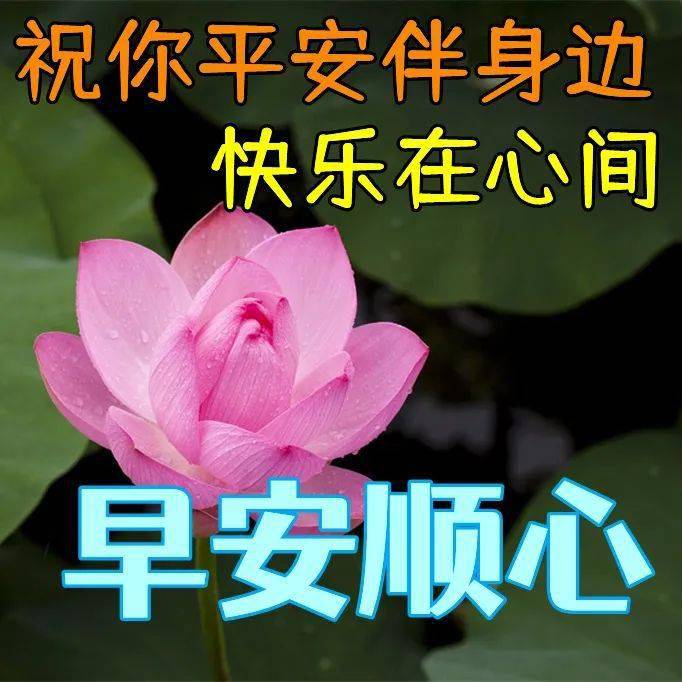 6月26日早上好动态表情图片大全,早晨好动图美图大全_问候_阳光里