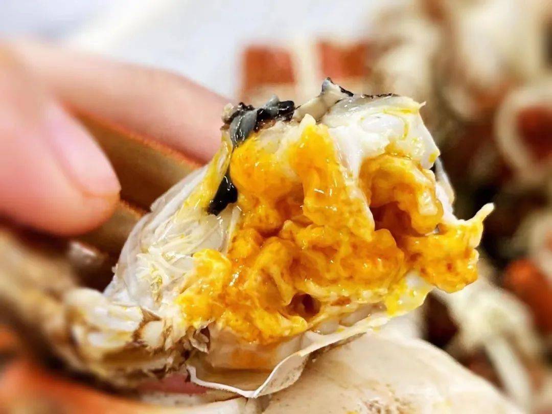 168元12只只只鲜活的花雕熟醉六月黄大闸蟹来啦夏日必备