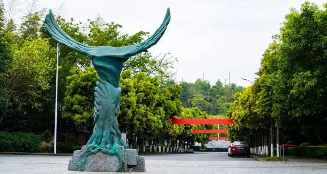 重庆高考志愿今日开填重庆传媒职业学院2022报考指南