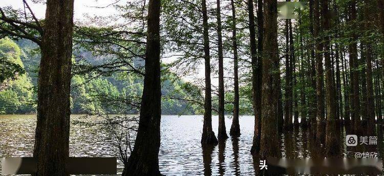 漢中夏日清涼地美麗龍池湖