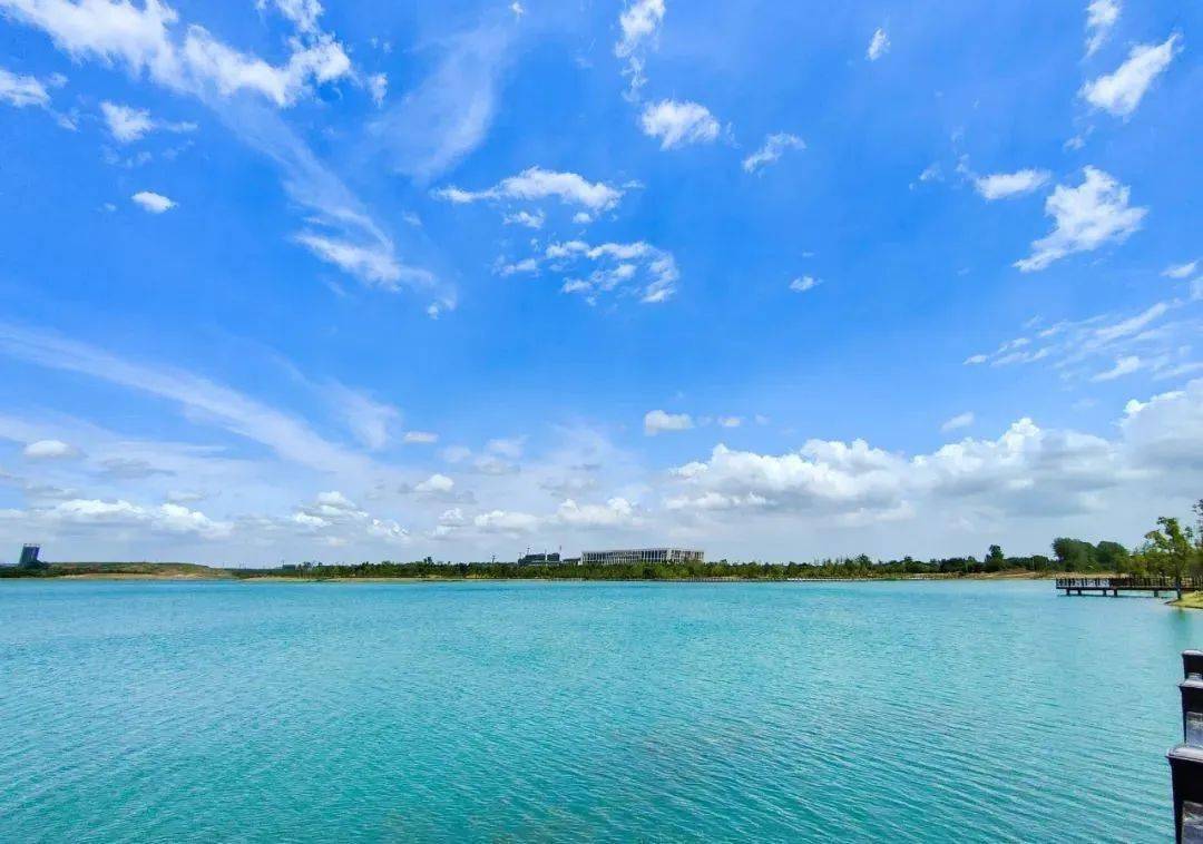 陶衝湖公園楊冬夏至晴空合肥市淮合花園小學吳夢燕漫步雲端文忠路過街