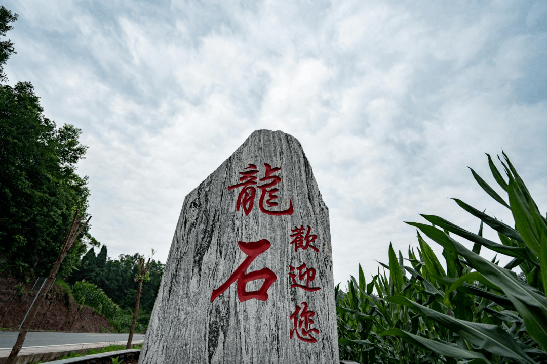 龙石镇双晒展现诗意乡村 美食美景令观众沉醉