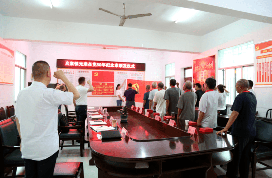 颁发仪式现场,镇党委书记廉峰为9名老党员代表颁发佩戴纪念章和绶带