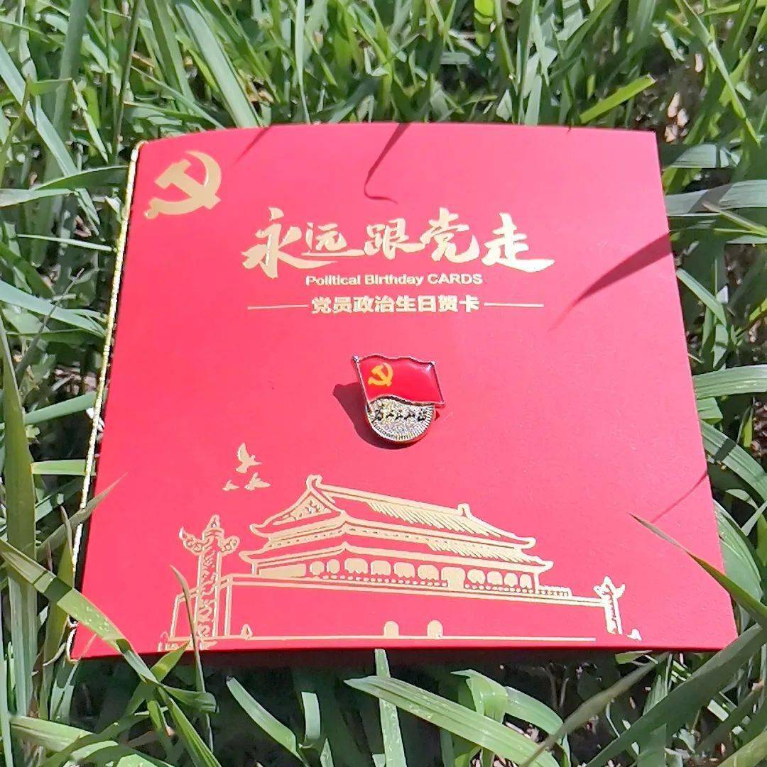 筑基层堡垒 为党旗增辉