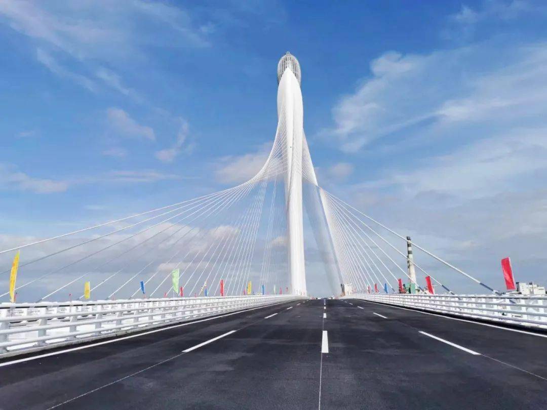 现场直击→_大桥_滨海_东莞