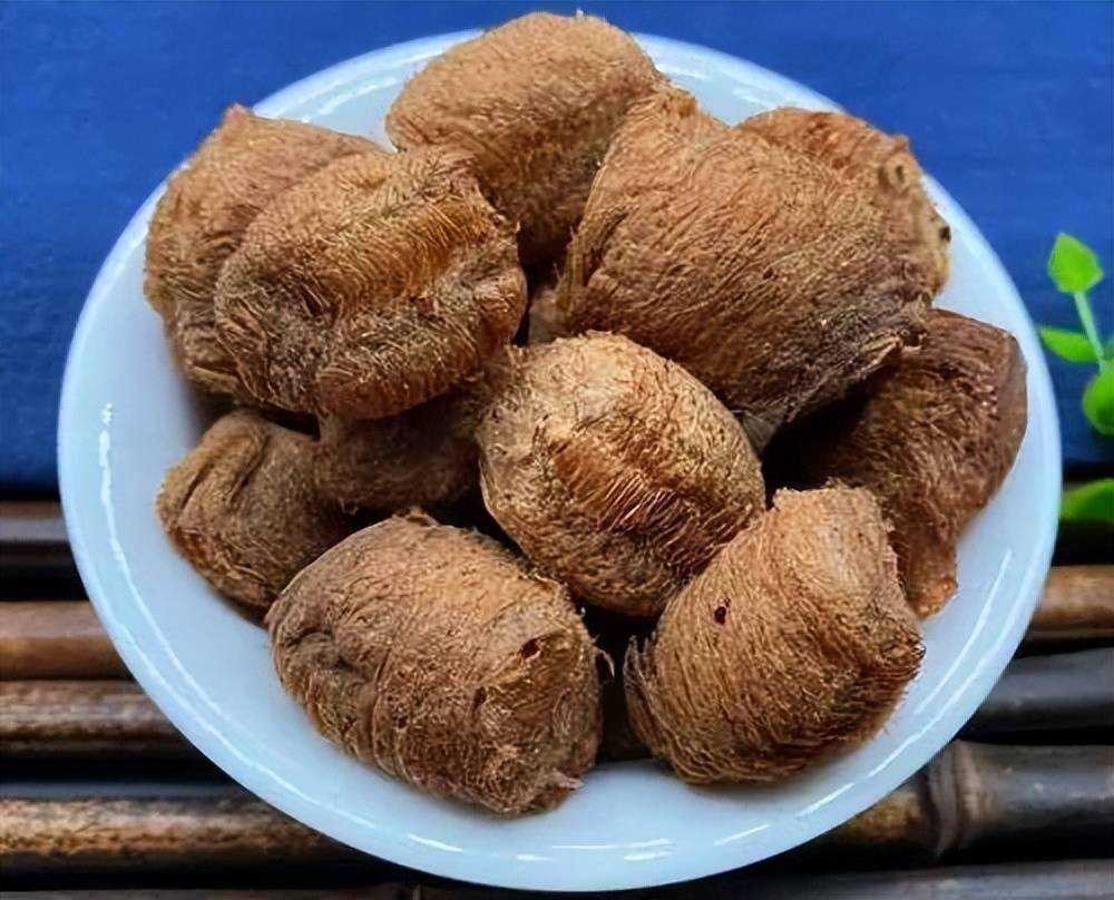 每天学习一味中药桑螵蛸