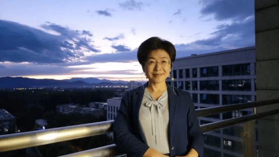 专访北大历史系教授赵冬梅除了大俗大雅的艺术高峰我们还能从宋朝学习