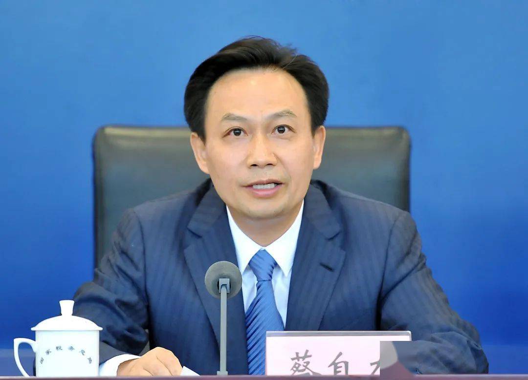 国家税务总局退税减税办常务副主任,收入规划核算司司长 蔡自力蔡自力