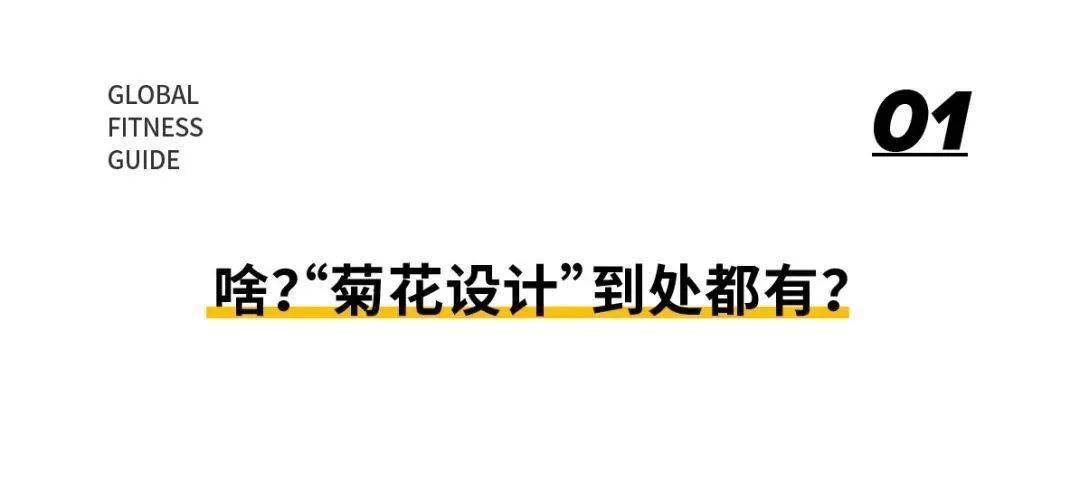 今日困惑：为啥女生的瑜伽裤臀部要设计成菊花的样式？？？泛亚电竞(图3)