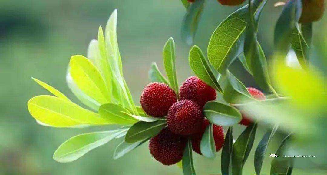 王玉春:学习新课标开启新征程为培育时代新人奠基