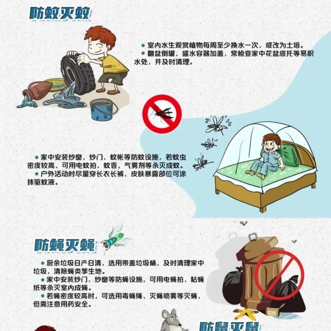 “小害虫”带来大危害,除“四害”这几招用起来!_传播_疾病_孔肯雅