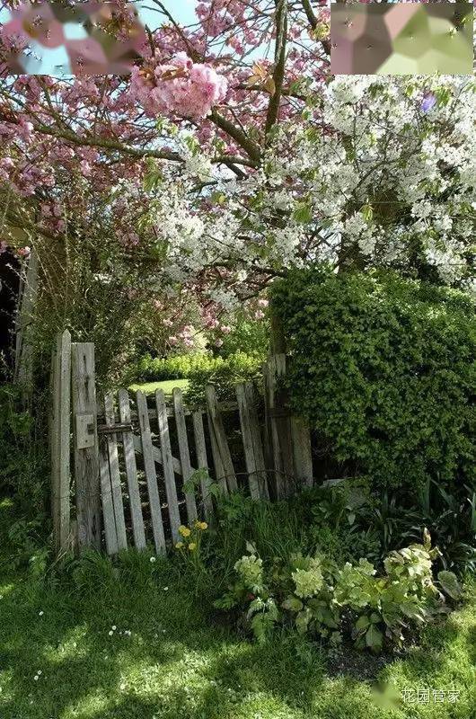 英格兰的田园生活只有自然的淳朴