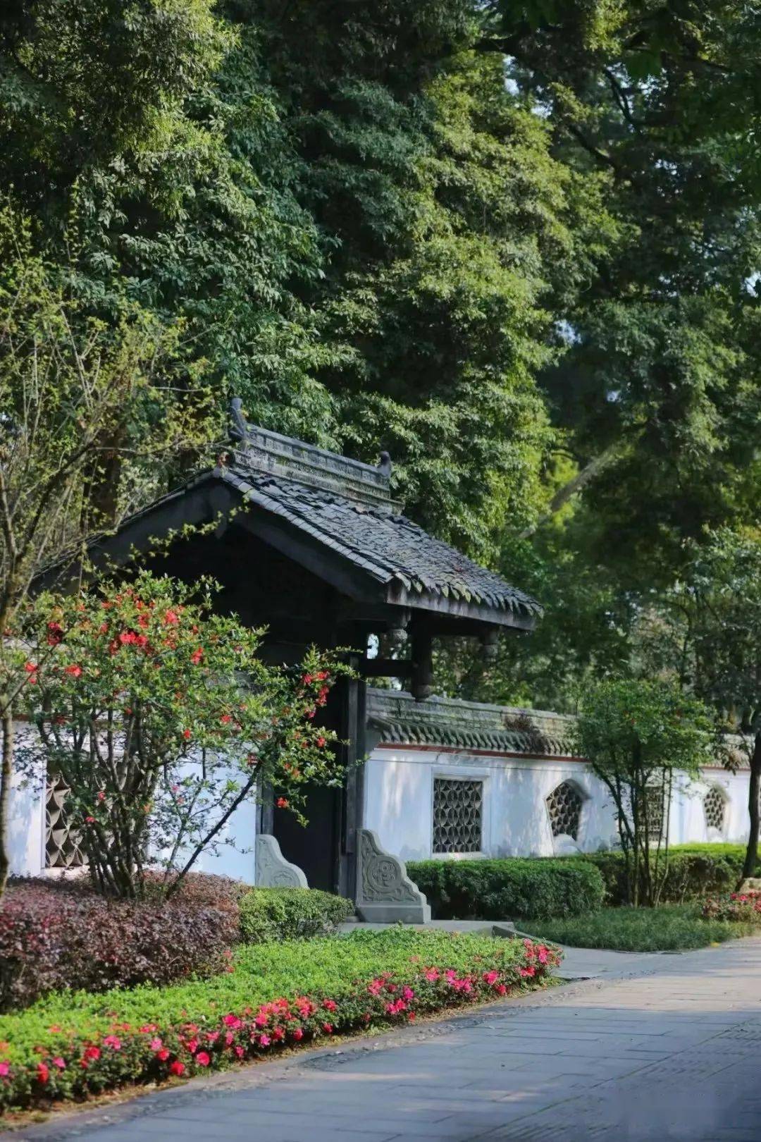 来都江堰,邂逅"西南第一名园"的古韵与清凉~_青城山_清溪_盆景