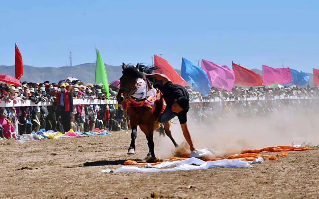 赛事通知中华民族大赛马612022年天祝藏族自治县六月六民族传统赛马