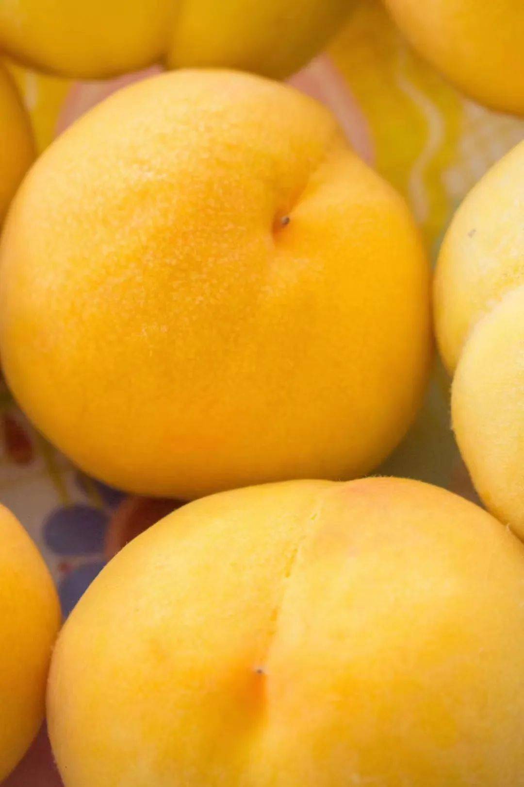 手工现摘包邮到家蒙阴网红黄桃黄油蟠桃限量发售中