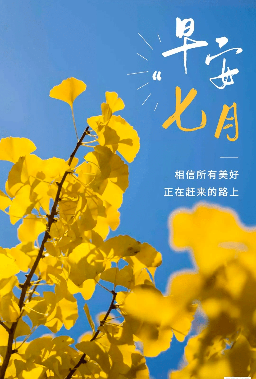 七月发朋友圈最漂亮的一段话