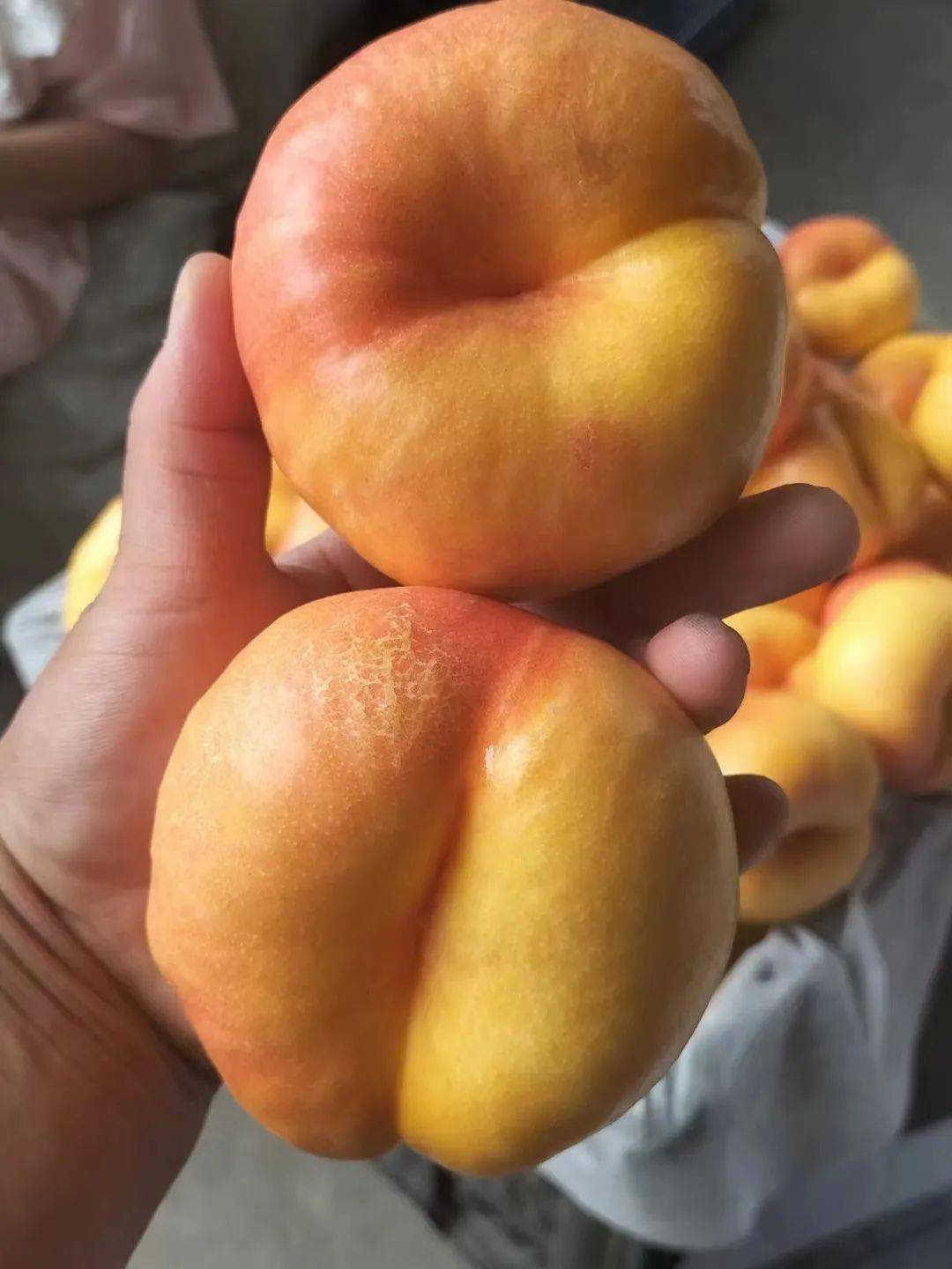 最贵的桃子图片