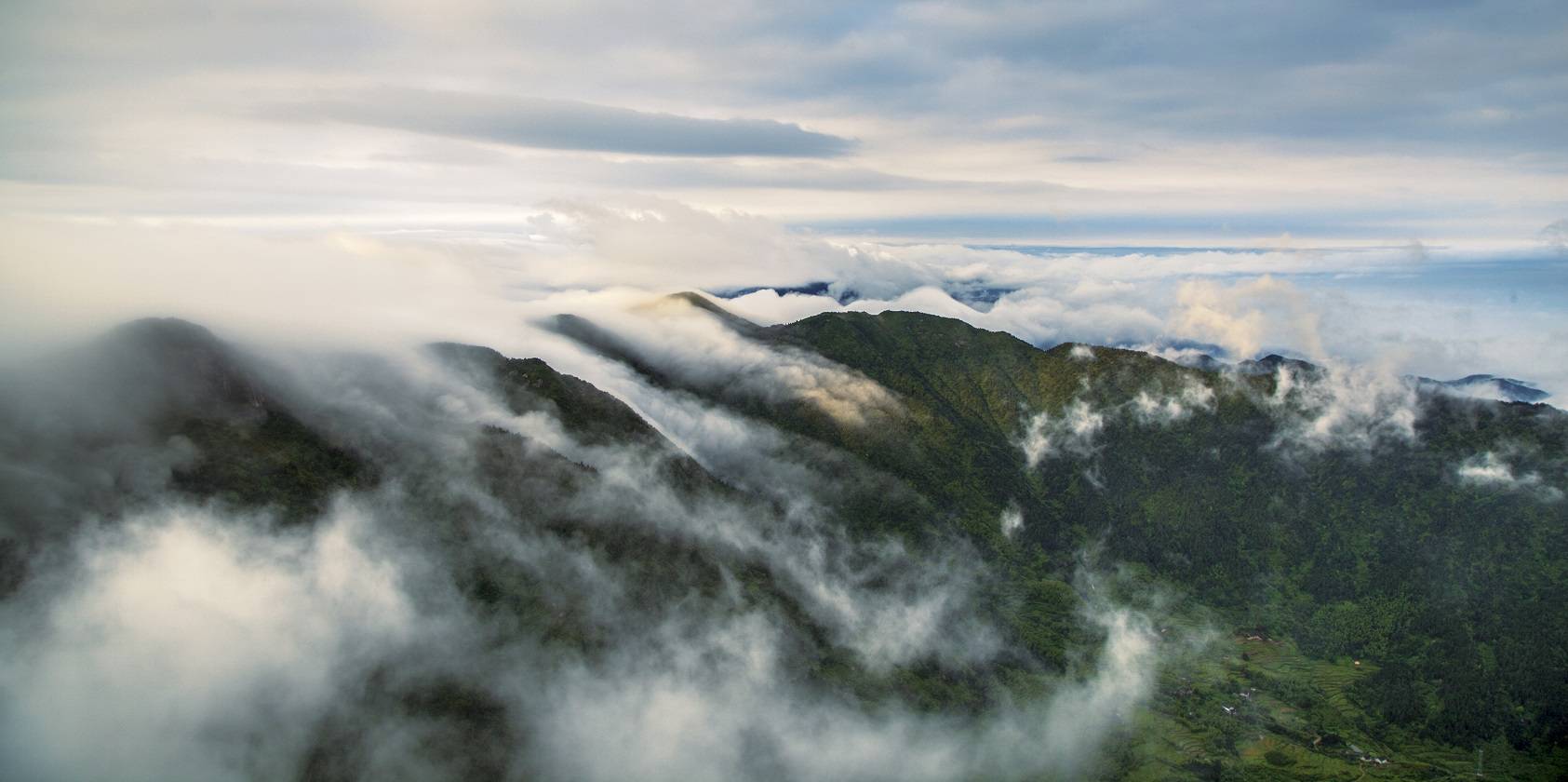 湖湘自然历丨万类霜天竞自由 不是所有山都能称 岳 南岳衡山 植物 种群