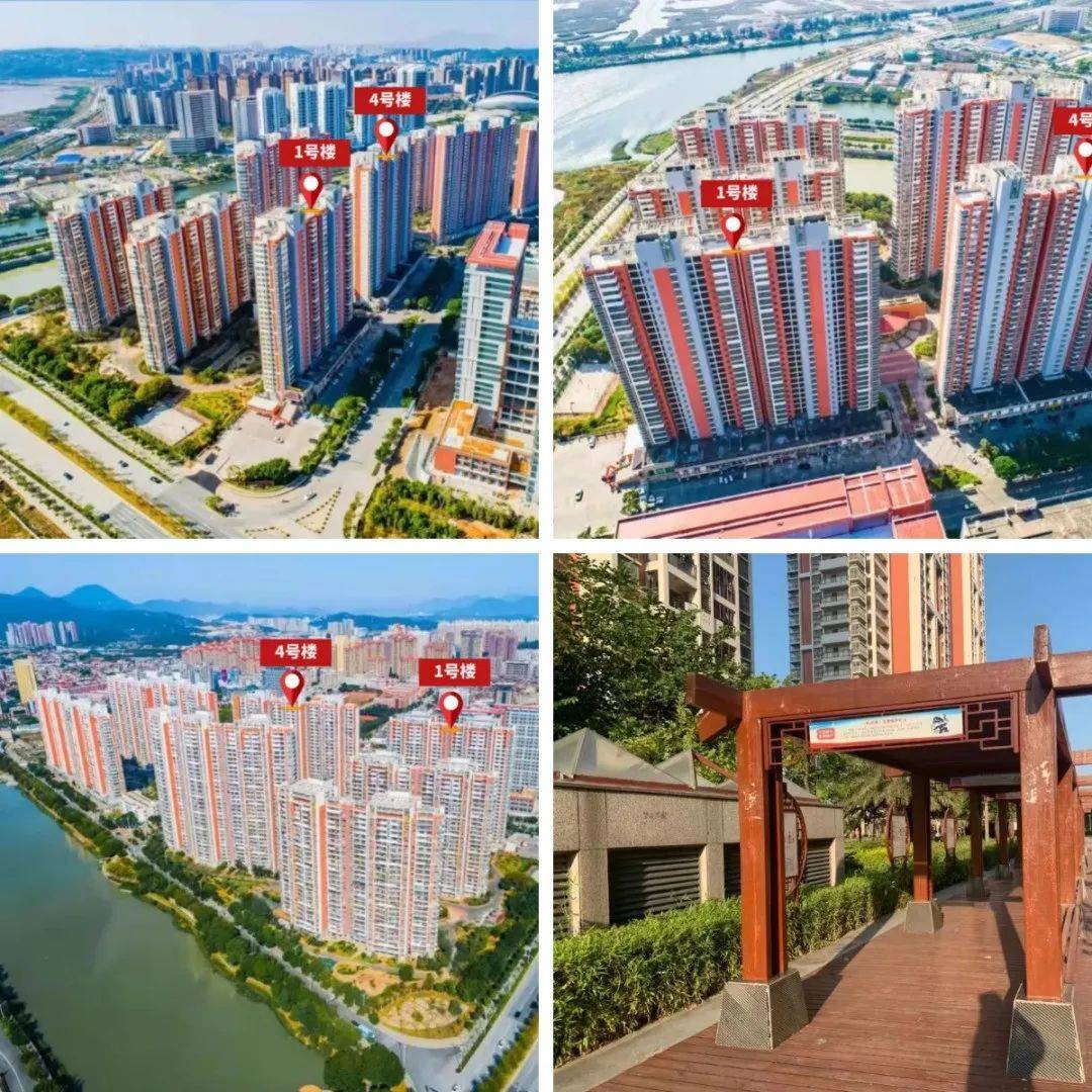 多次竞价未卖完！泉州城东金凤屿花苑33套住宅房源再次启动报名！_意向_受让方_交易保证金