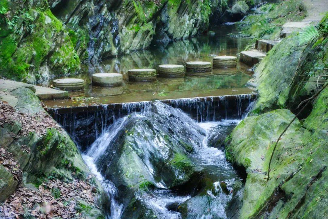 7月10日相约北罗霄平江芦头境谷森林火车喻杰故居一日游158元人