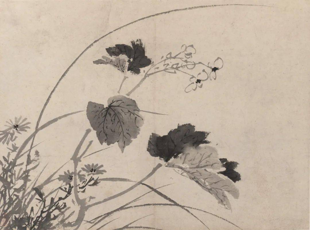 白阳陈淳以书入画开拓了花鸟画大写意新的艺术境地