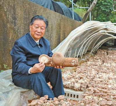 点草成金造福更多人(讲述·弘扬科学家精神)_林占_菌草_技术