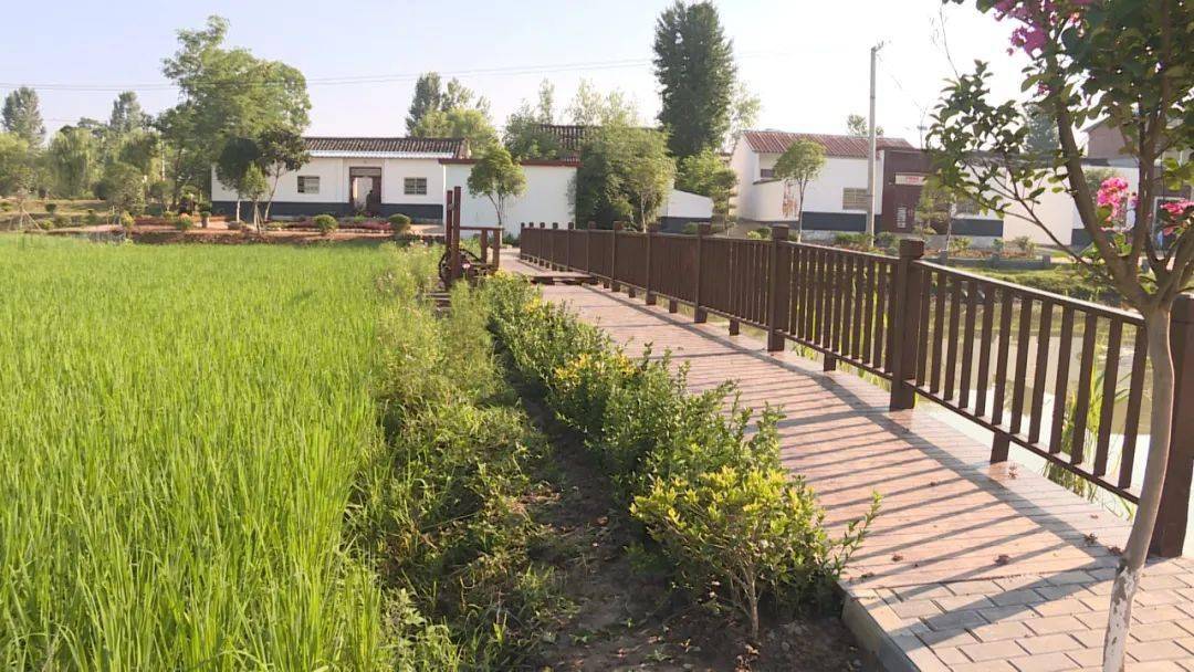 人居环境整治杨墩村上官明塘田园风景美休闲好时光