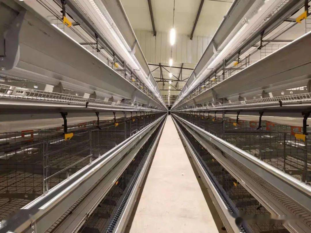 新思维养殖:鸡舍挡风幕帘的使用以及利弊说明_风速_风机_降低