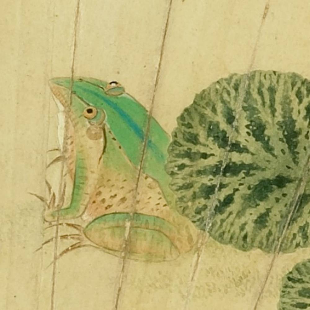 台北故宫大型特展“草虫捉迷藏”：寻找宋画里的虫迹
                
                 
