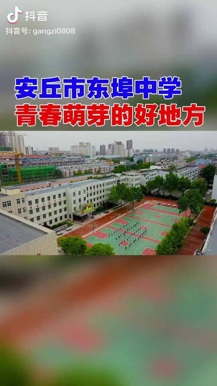 安丘市东埠中学图片