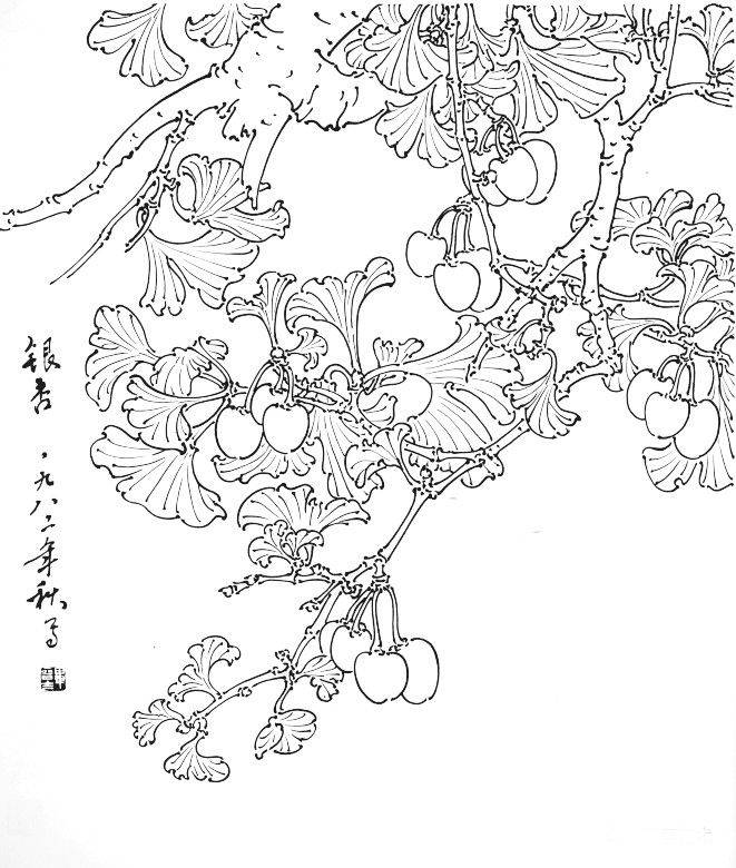 银杏树素描画图片