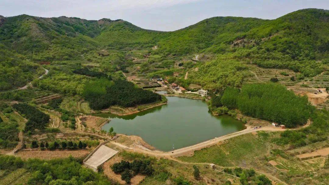 快来pick你心中的最美乡村!_崂山_晓望村_特色