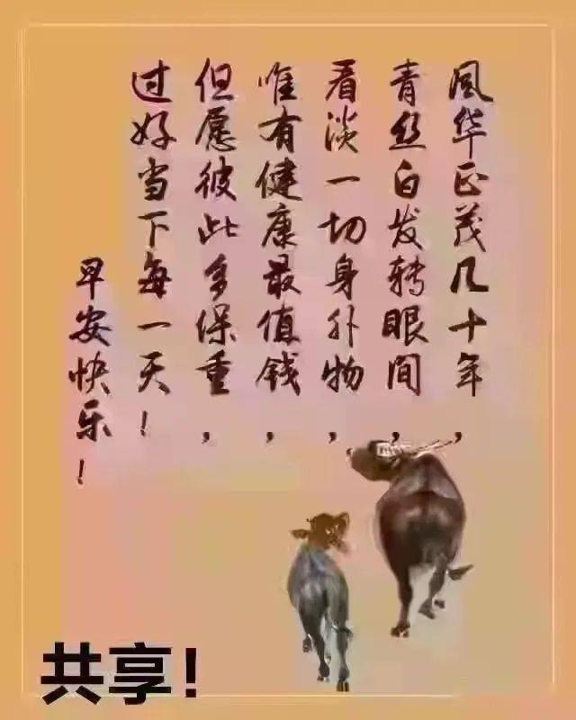 早上好书法字体图片