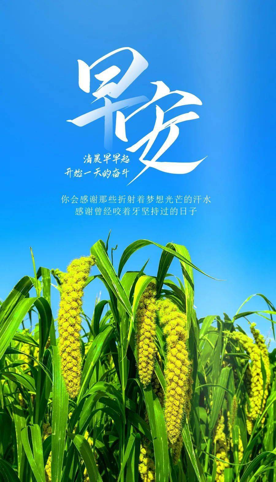 7月12日早安正能量分享語錄文案早上好正能量心靈雞湯短文配圖