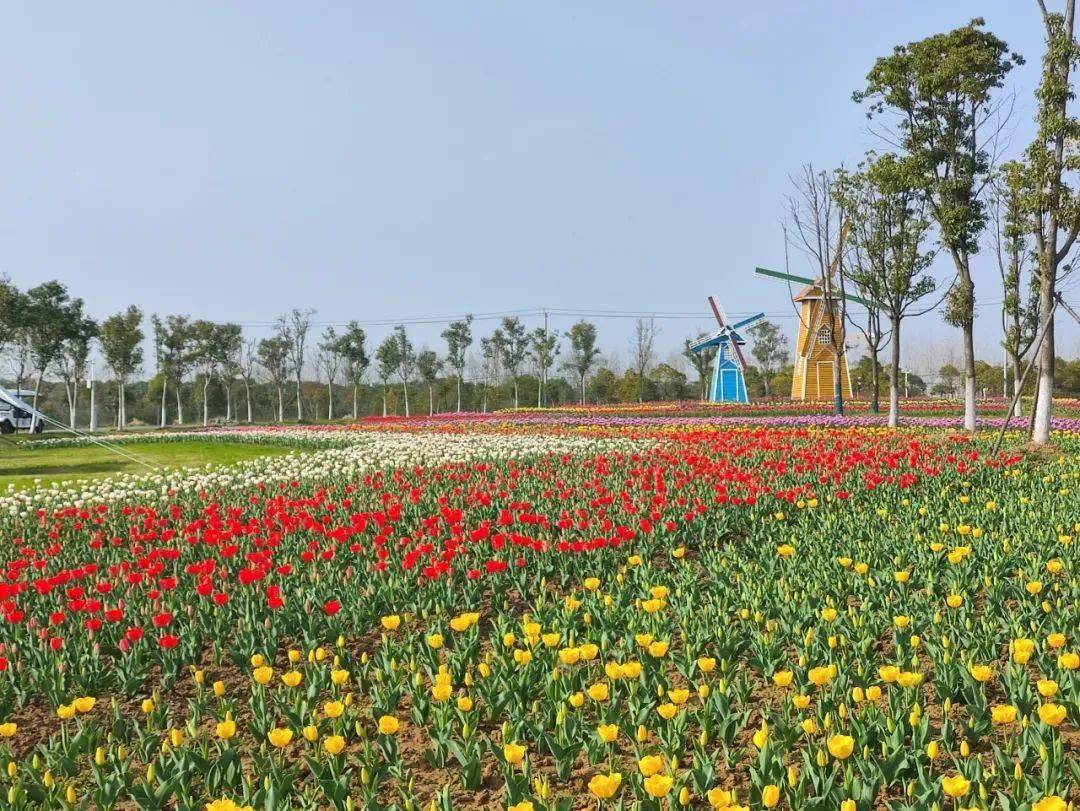 半島花溪樂園位於巢湖市黃麓鎮蘆溪村外,是一處以