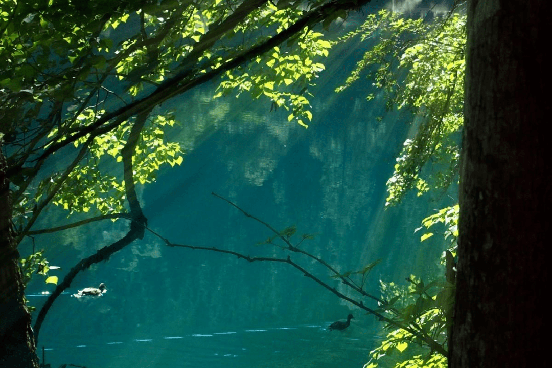 安顺山林图片