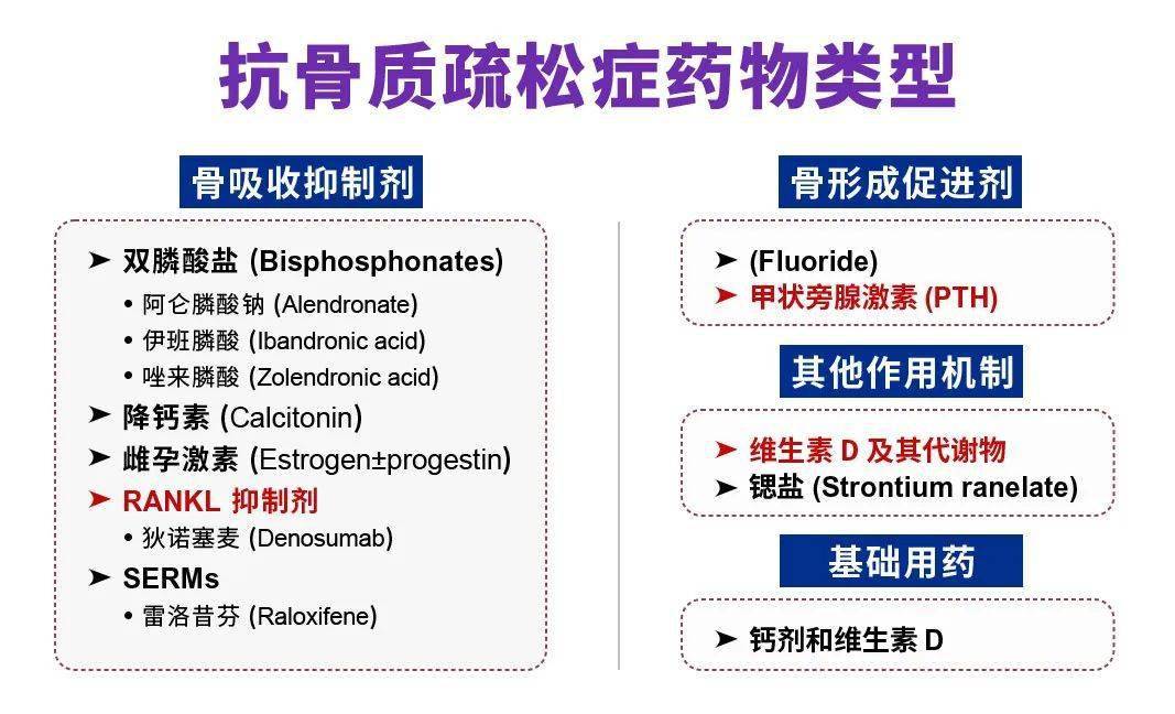 骨质疏松症药物治疗