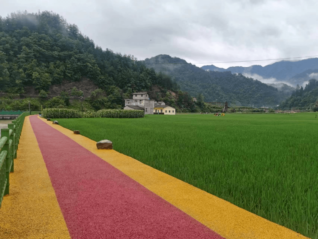 国卫复审齐行动⑨简池镇深化人居环境整治面子靓里子实