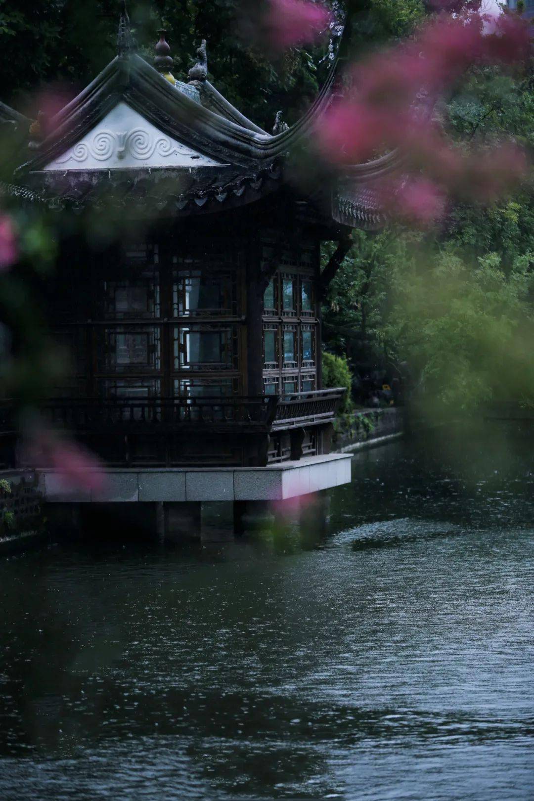 盛夏 听一场优雅的雨 夏雨 笔下 西湖