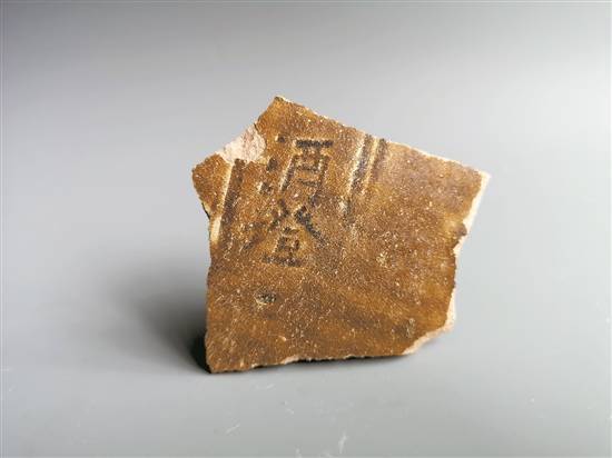 “南中國海I號”考古學新發現 或將促進“突頜脂”世界遺產