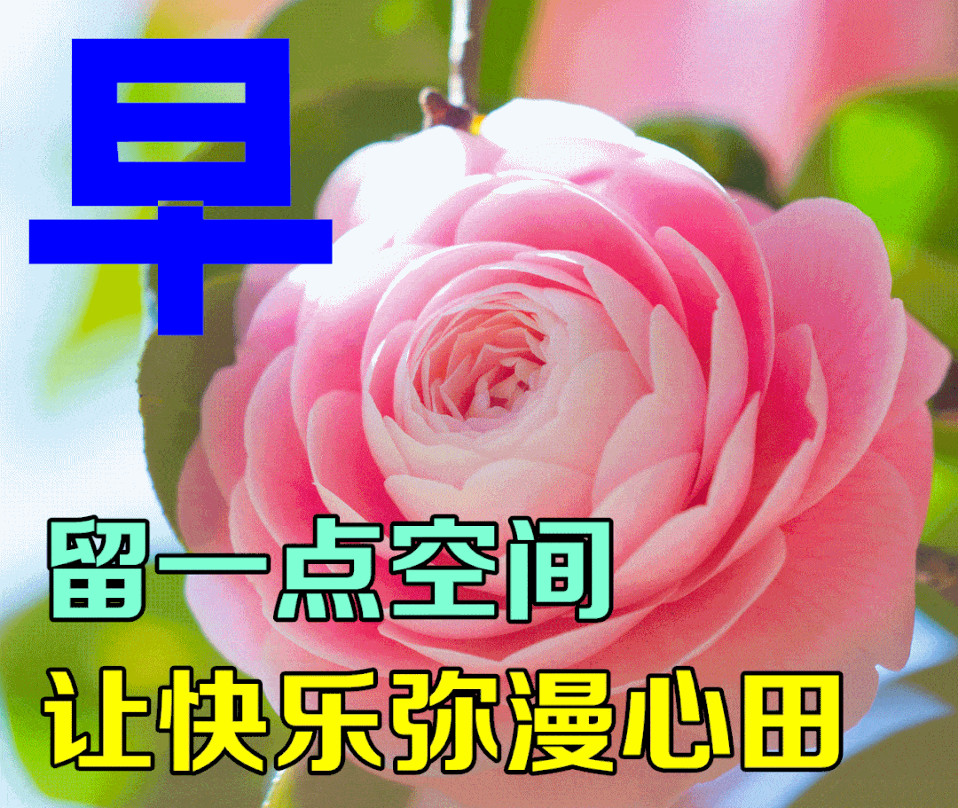 7月16日最新入伏早上好祝福动态表情图片大全入伏早上好问候语句子