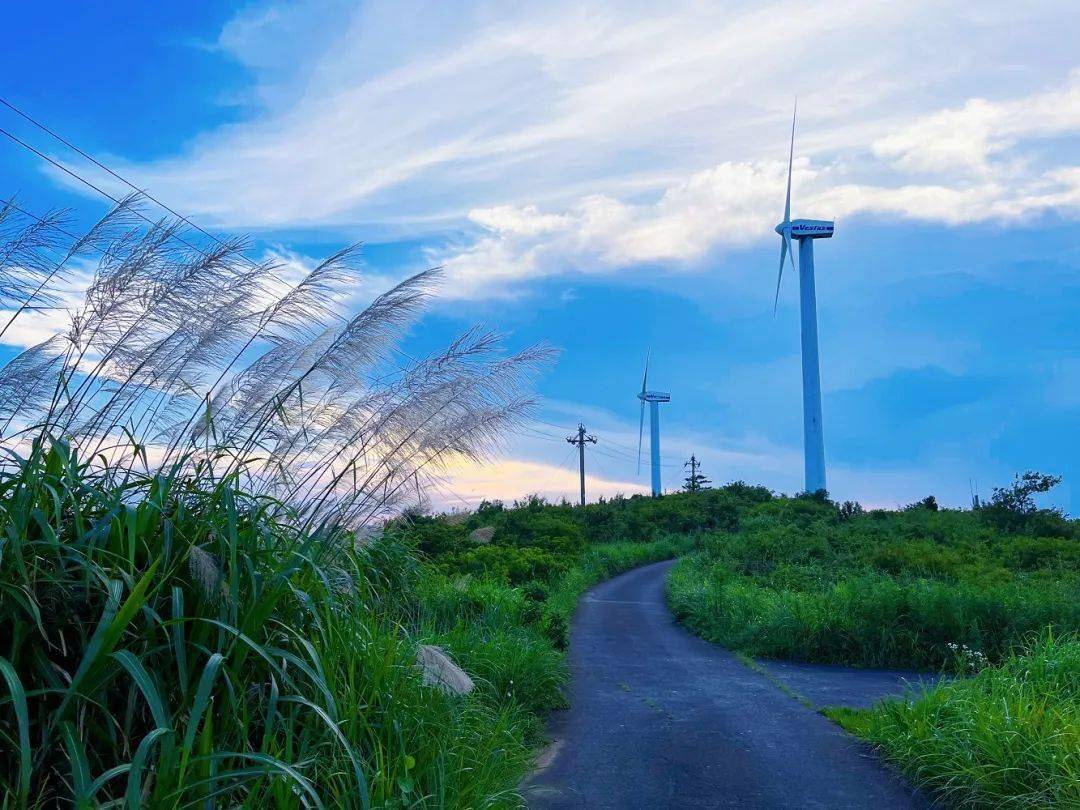 苍南鹤顶山:听说黄昏是个浪漫主义者,难怪夕阳会爱上它_晚霞_人间