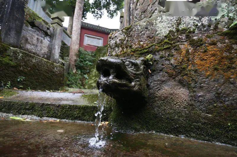 今夏来峨眉山"神水阁",聆听禅院梵音,探秘千年古刹传奇