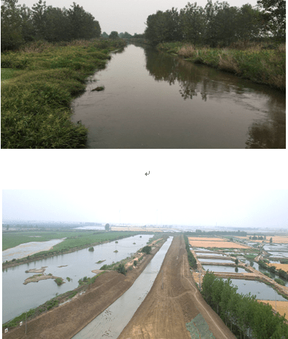 宝应大河顺利通过通水验收_河道_灌溉_工程