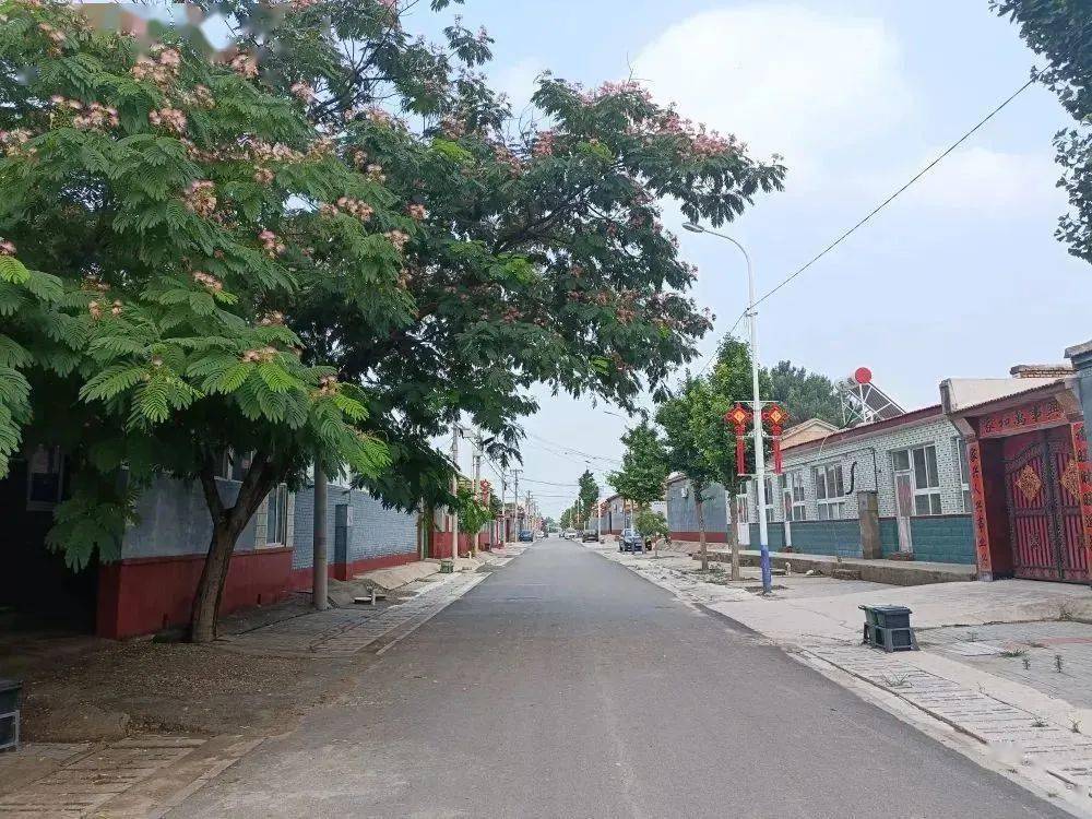 大兴区:提升人居环境质量,扮靓美丽乡村底色_西芦各庄村_治理_整治